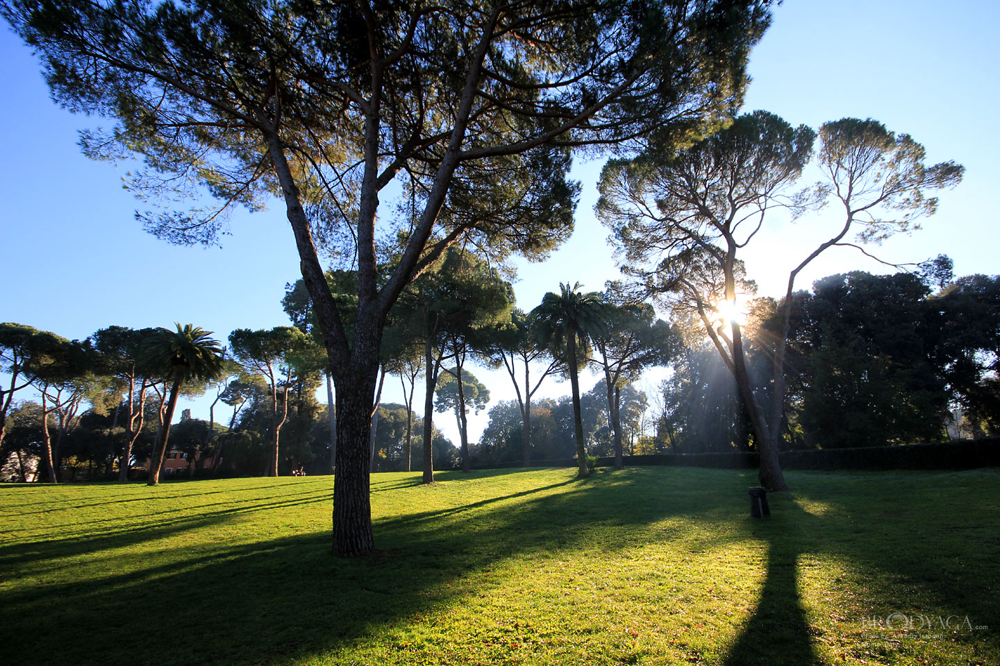 Villa Ada, Rome